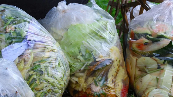 Diverting Food Waste from Landfills to Make Bioplastics
