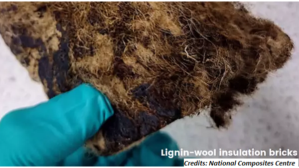 Project Transforms Lignin to Composites as Alternative to Fossil-based Materials