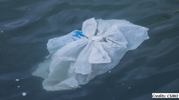 Research Shows Up to 11 Mn Tonnes of Plastic Waste is Sitting on the Ocean Floor